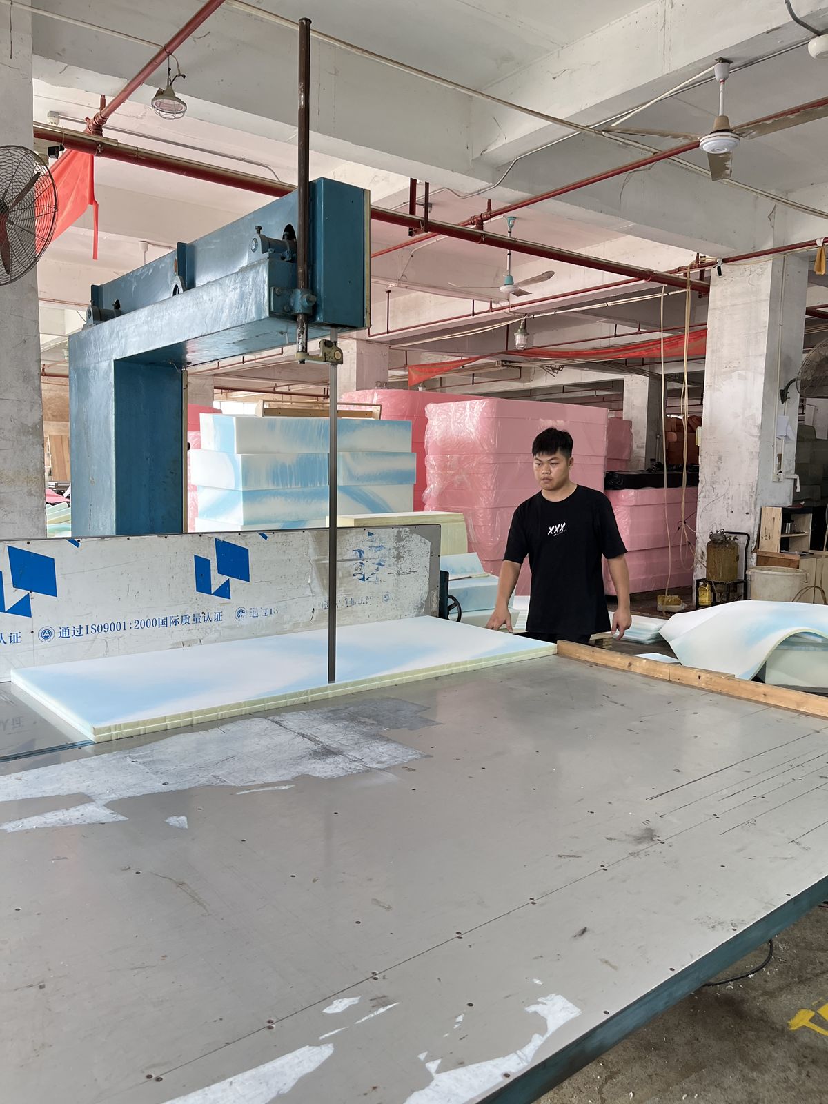 TANZUO factory 12